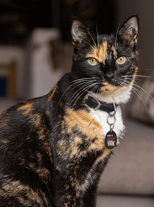 Since 1776 : Pet Tag